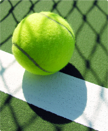 CAMPEONATOS DEPORTIVOS